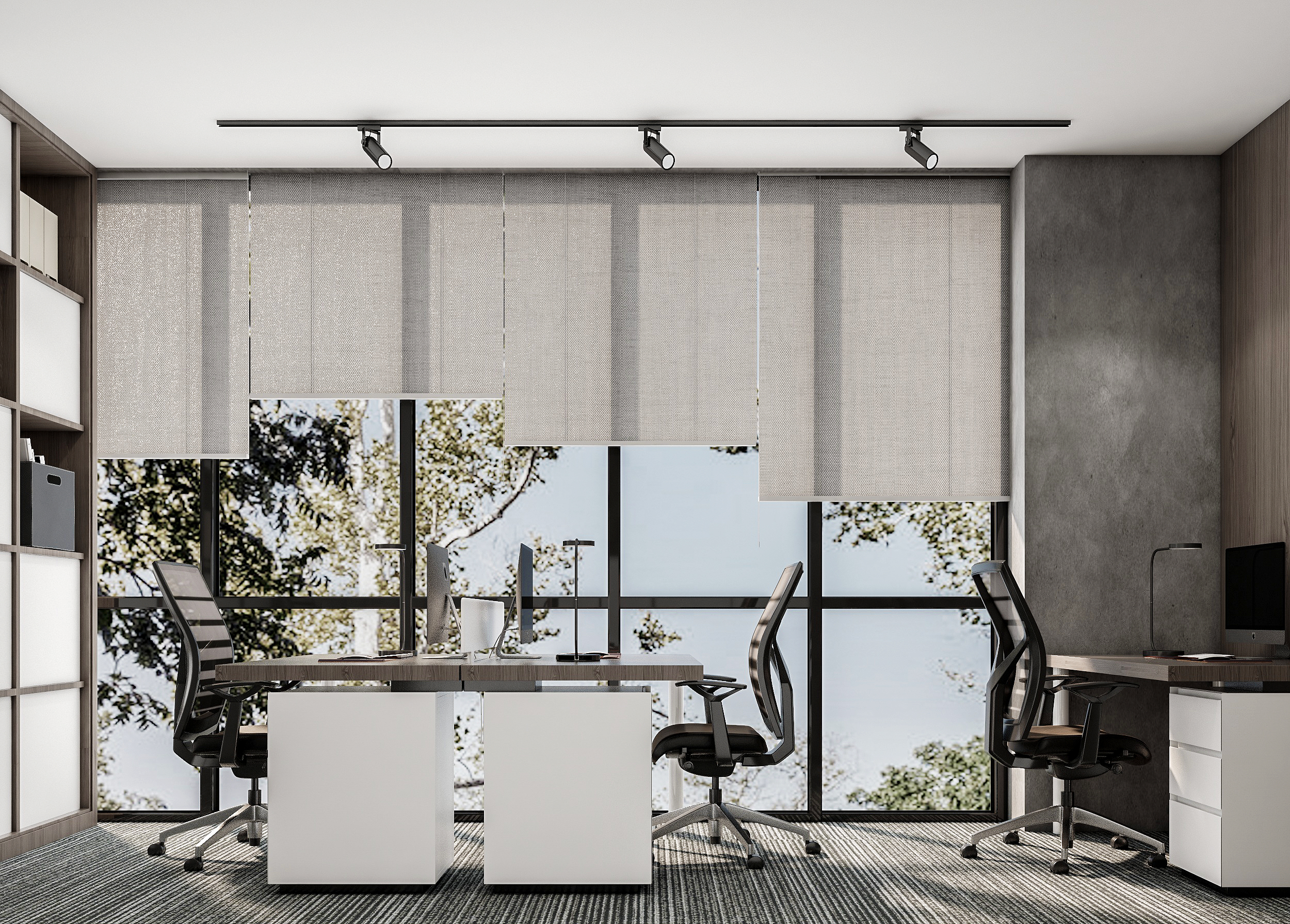 Act Financial — shared office with two desks, sheer linen blinds, and floor-to-ceiling windows